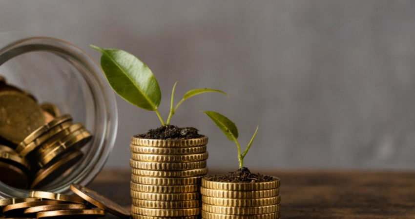 Какими будут фиксированные взносы для ИП в 2024 году, что об этом известно