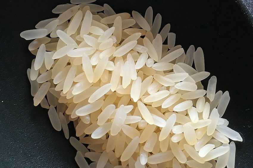 СП: в КНР работают над созданием нового сорта риса