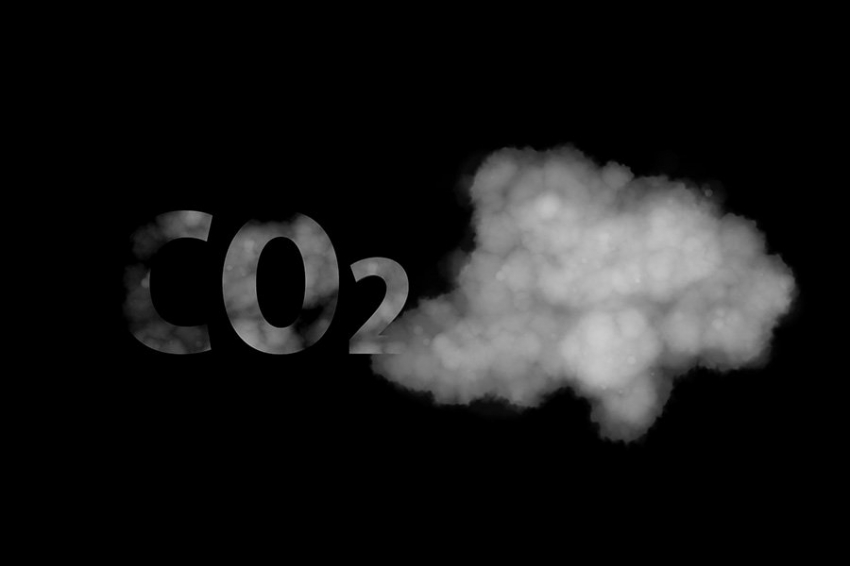 19 «массовых вымираний» имели уровни CO2, к которым человечество приближается сейчас