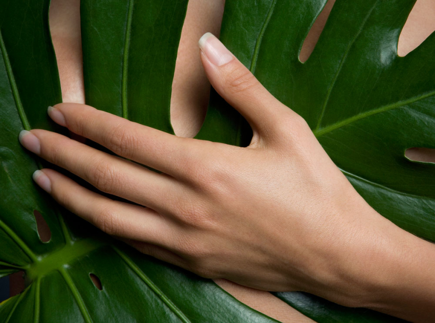 Красота и здоровье кожи рук: как правильно за ней ухаживать