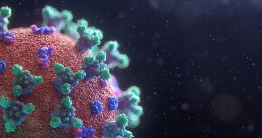 Что за вирусы чудовищных размеров нашли в США: первые подробности