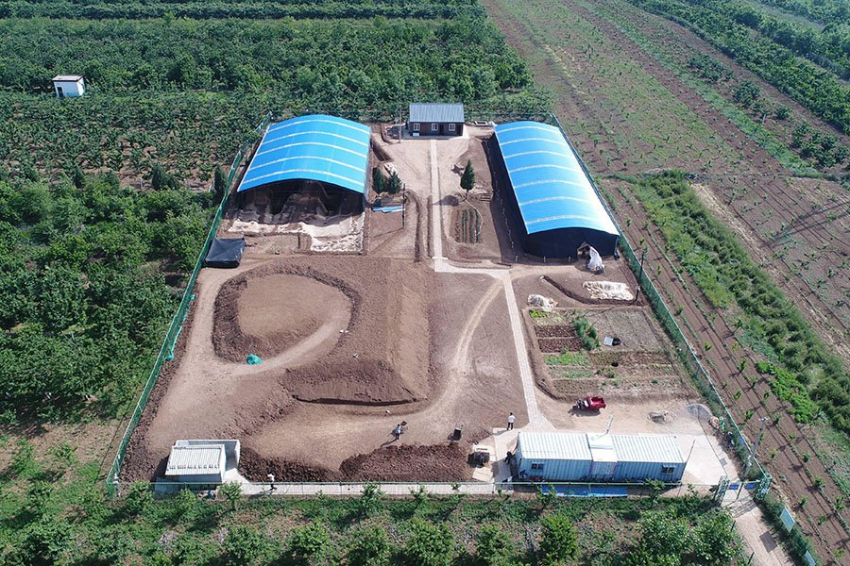 Гигантская панда найдена в императорской гробнице в Китае