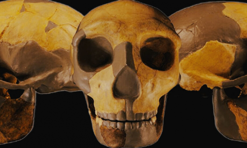 В Китае обнаружили череп неизвестного ранее вида людей