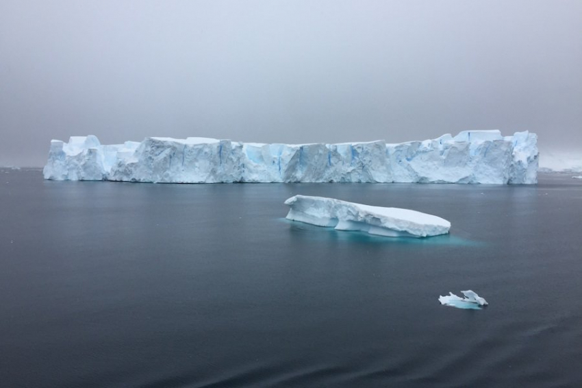 ААНИИ: Айсберг А23а направился в сторону пролива Дрейка