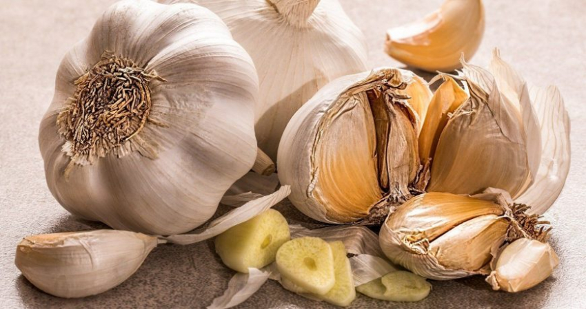 Сгниет весь: до какого числа нельзя убирать озимый чеснок в 2023, лунный календарь