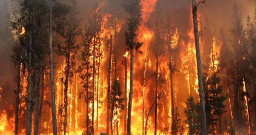 Лучше звоните Путину: Турция и Греция вспомнили о России только после пожаров