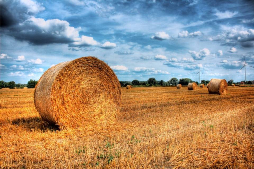 Праздник апостола от 70-ти Акилы Гераклейского и Дозоры 27 июля 2023 года: как прогнать нечистую силу