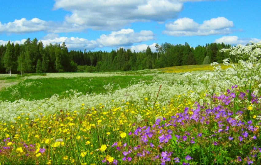 Приметы и поверья на 28 июля 2023 года связаны с днем Улиты и Кирика