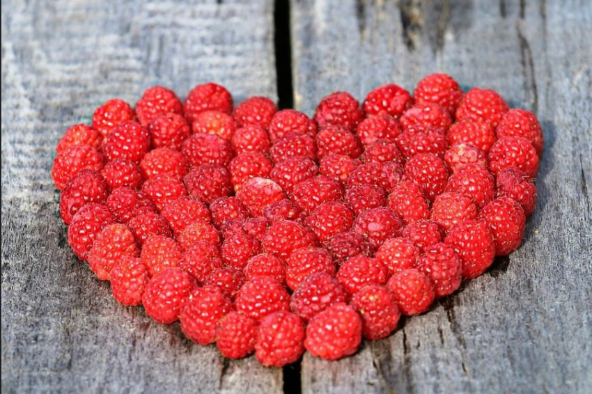 Специалисты рассказали о полезных свойствах малины для сердца и мозга