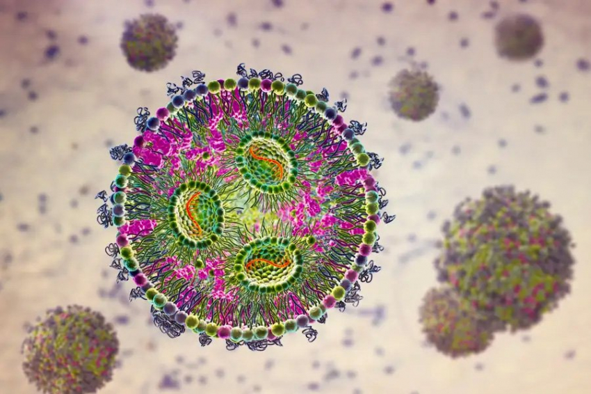 Целенаправленная доставка мРНК приведет к более дешевым лекарствам от многих болезней