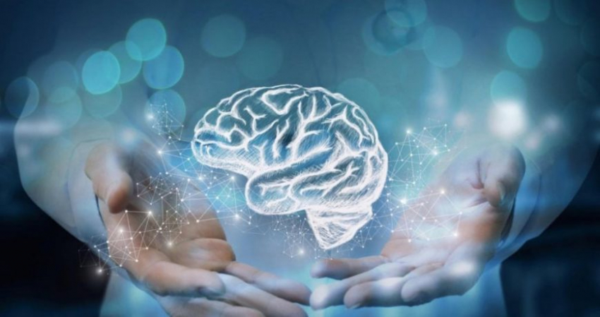 Какой праздник 22 июля в России и мире, история, традиции, суть праздника