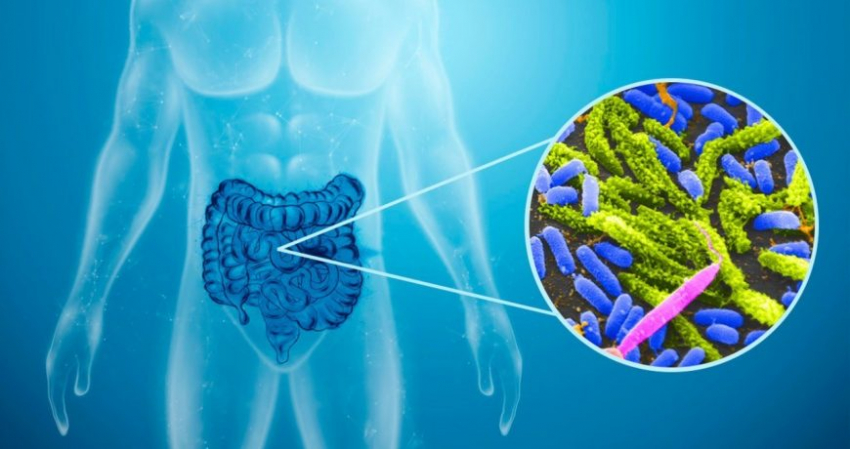 Холера в Тамбовской области: насколько всё опасно, первые подробности