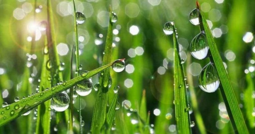 Какой праздник сегодня, 25 июля, отмечают в России и мире