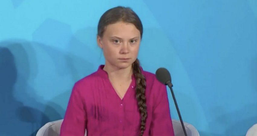 За что могут посадить активистку Грету Тунберг, правда ли, что ей выписали штраф