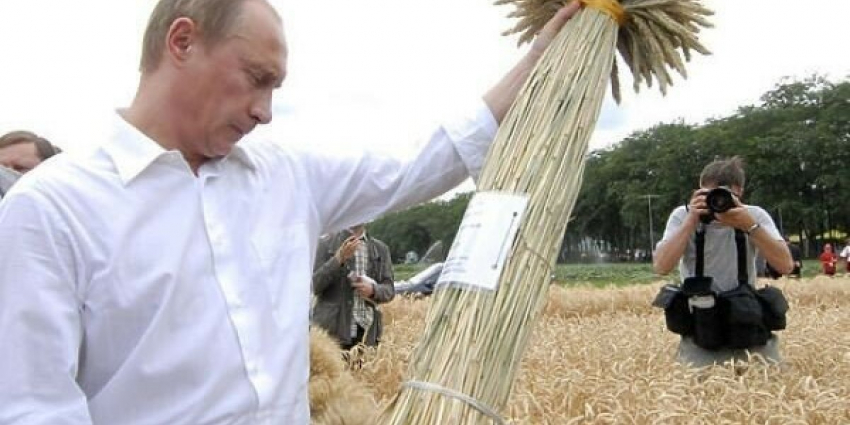 Как с газом: Путин одним указом перевел расчеты за зерно в рубли