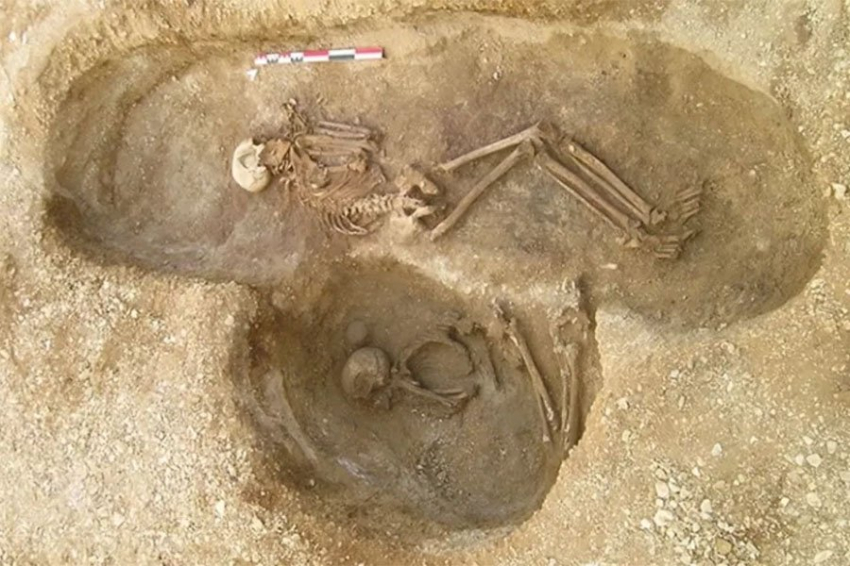 Французские ученые реконструировали самое большое в истории страны генеалогическое древо эпохи неолита