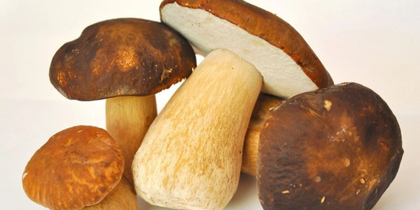 Какой сегодня праздник? Самые важные события на 11 августа 2023 года в России и мире