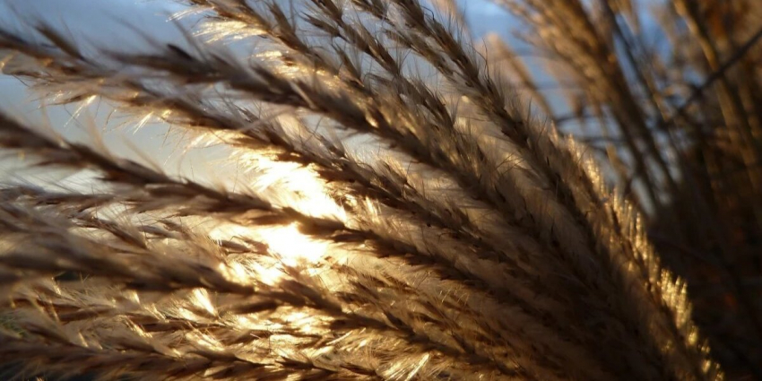 Какой сегодня праздник? Что можно делать 12 августа 2023 и что категорически нельзя по народным приметам