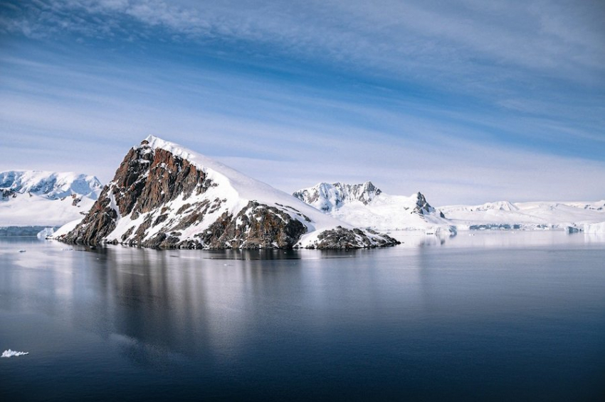 Биологи нашли у Антарктиды похожего на клубнику 20-рукого монстра