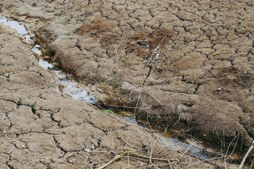 Последствия аномальной жары в Европе почувствовала еще одна страна