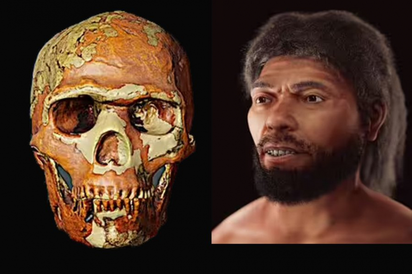 Лицо одного из старейших Homo sapiens восстановлено с помощью 3D-графики