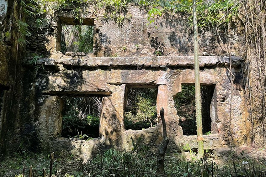 Antiquity: сахарный завод на африканском острове мог быть местом, где было изобретено рабство