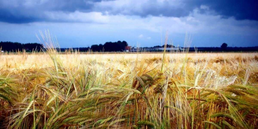 Какой сегодня церковный праздник? Что можно делать 21 августа 2023 и что категорически нельзя