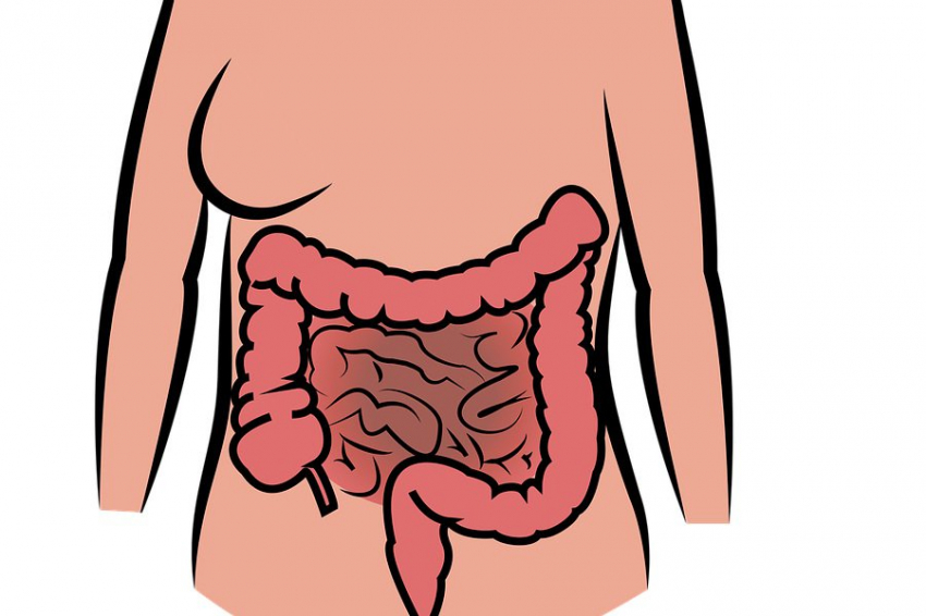 Scientific Reports: продолжительное экранное время увеличивает риск синдрома раздраженного кишечника