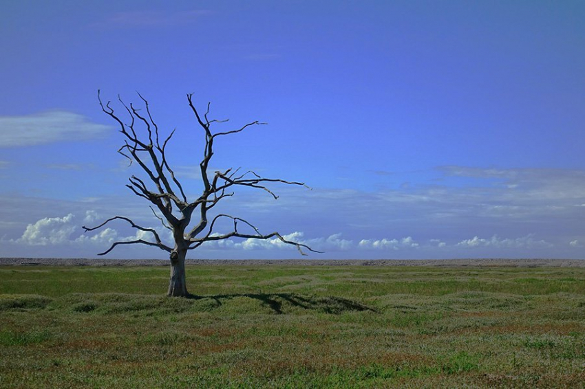 Изменение климата может повлиять на иммунную систему