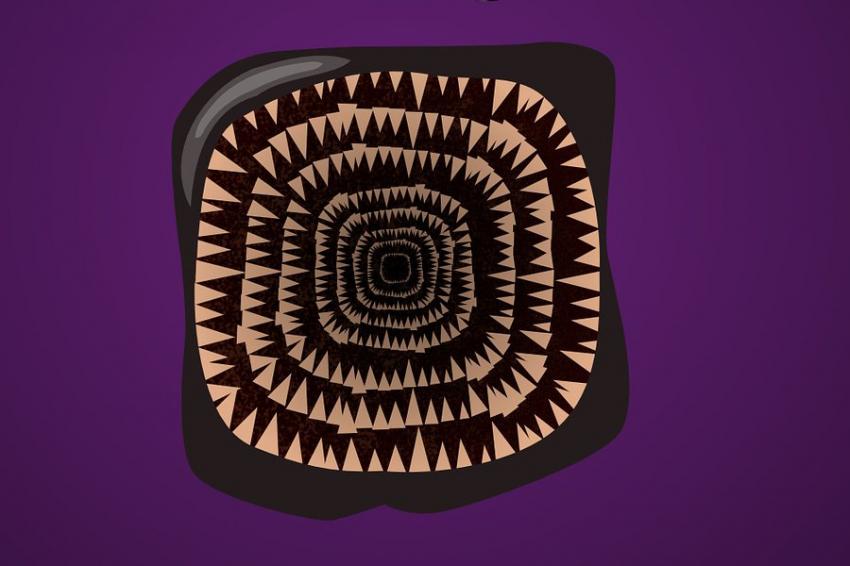 Мужчина, во время рыбалки, нашел рыбу-вампира