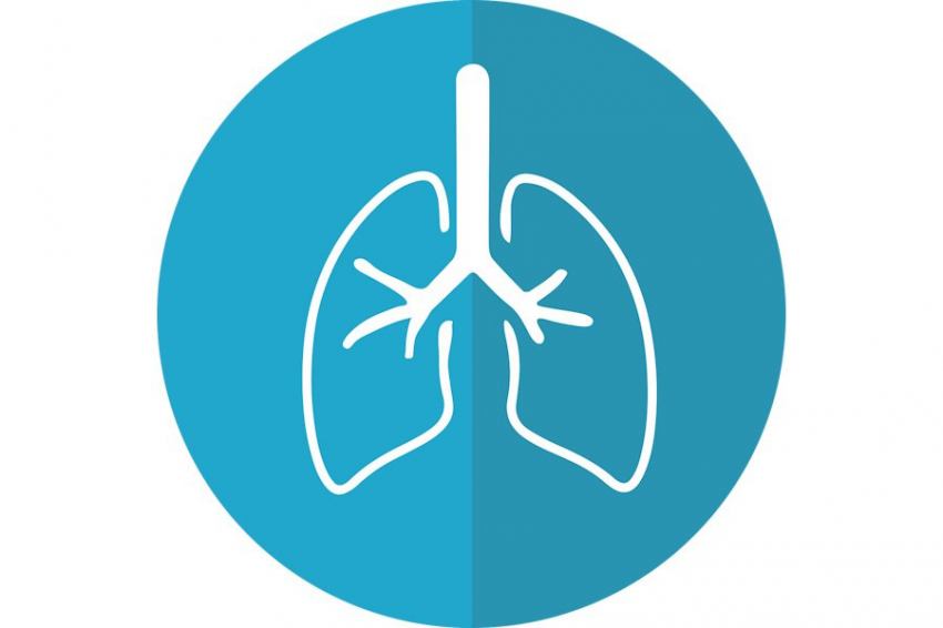 "Газета.ru": в «Сириусе» подтвердили эффективность новой вакцины против туберкулеза