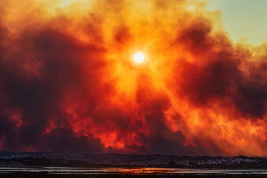 Древние люди устроили мегапожары, опустошившие юг Калифорнии на 1000 лет