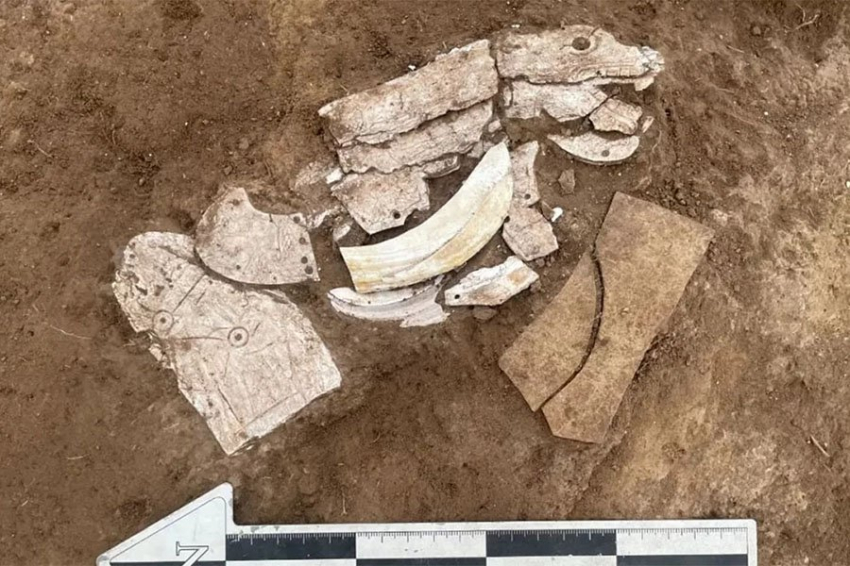 В Китае археологи обнаружили дракона, сделанного из раковин мидий