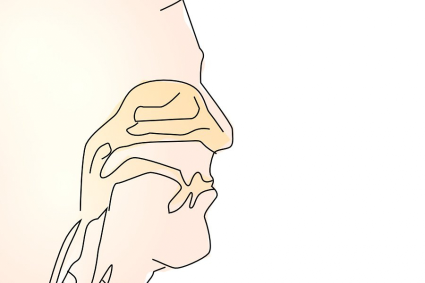 В Первом МГМУ создан тест для измерения обоняния