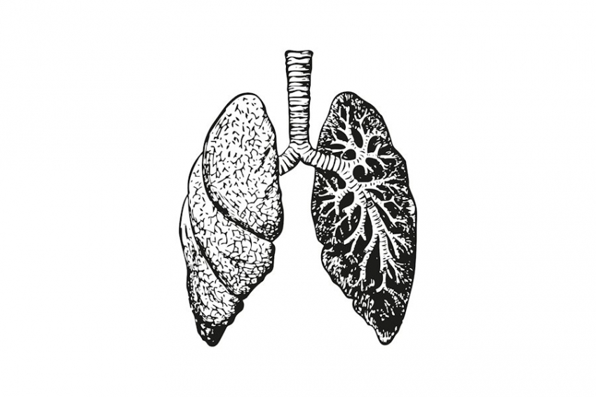 JEM: обученные удалять «мусор» иммунные клетки могут устранить воспаление легких