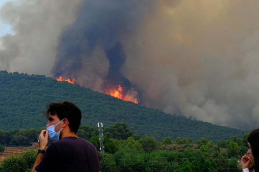 Эксперт: Экстремально высокие температуры в Европе и США угрожают коллапсами