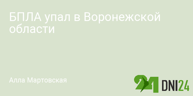 БПЛА упал в Воронежской области
