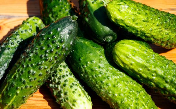 РИАН: Сезонное падение цен на огурцы закончилось раньше из-за сильной жары