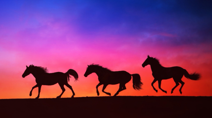 В Якутии наводчику танка «Алеша» Неустроеву подарили табун лошадей