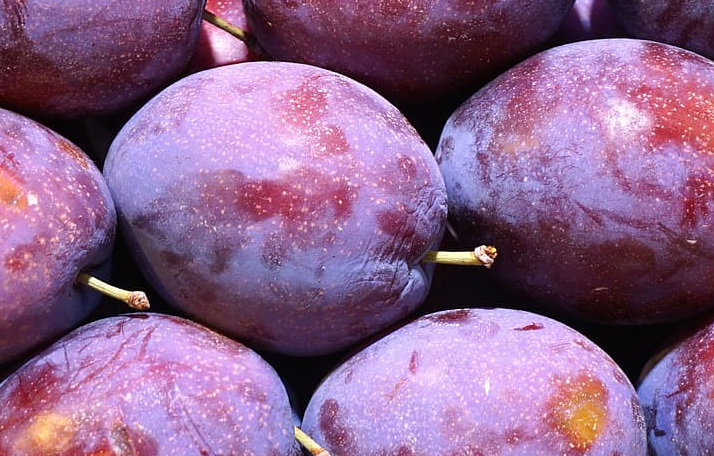 Сливы оказались полезными для здоровья печени, сердца и костей