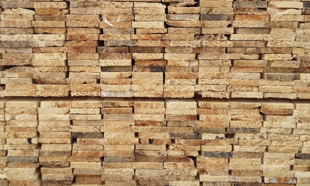 В Южно-Сахалинске жители получат бесплатные строительные материалы для восстановления домов после циклона