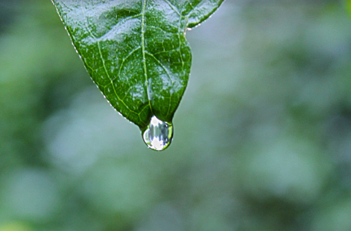 Гонконгская фондовая биржа приостановила торги из-за сильного ливня