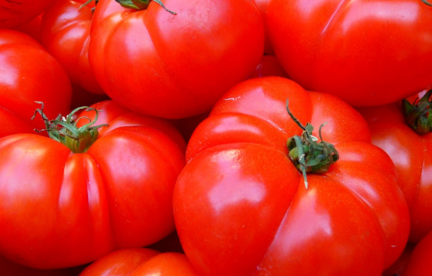 Диетолог Гинзбург предупредил об опасности овощей «прямо с грядки»