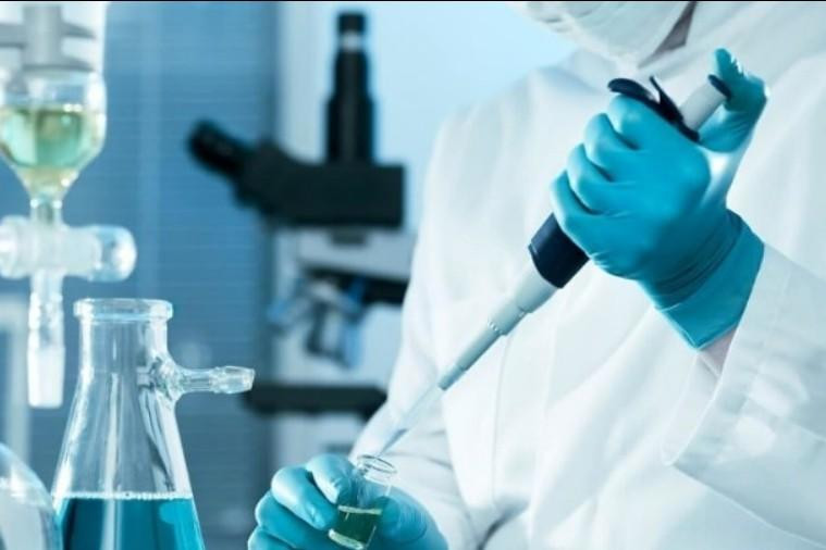 Nature Communications: Цинк успешно предотвращает воспаление кишечника