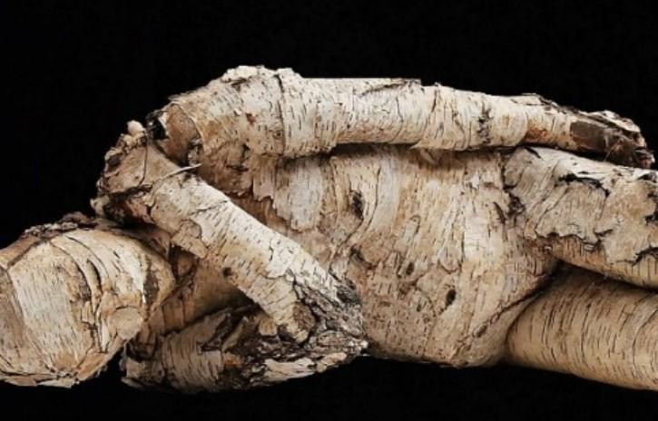 В Минкульте Перу не подтвердили внеземное происхождение останков из пустыни Наска