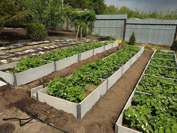 Вечные грядки: хризотилцементная ограда как решение на десятилетия - Новая общественная газета