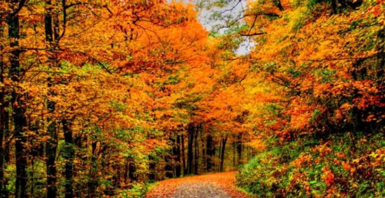 Церковь 25 сентября 2023 года празднует Артамонов день