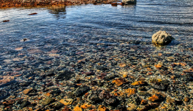 Эколог Ершова назвала страны, засоряющие русскую Арктику