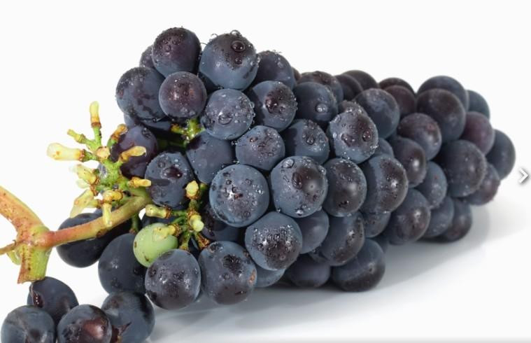 Диетолог Мухина пояснила, почему людям после 60 нужно осторожно употреблять виноград