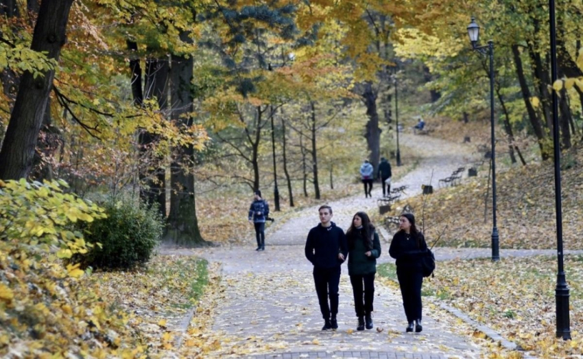 Кто сможет схватить удачу за хвост в сентябре 2023 года: астролог назвал три знака Зодиака